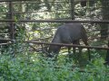 IMGP0791.JPG